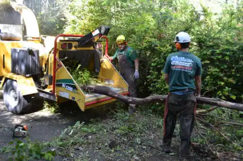 tree services Claymont